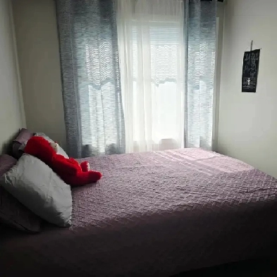 Looking for a female roommate to share a 2 bedroom Condo -$850 Image# 3