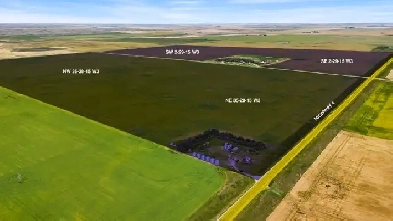 High Quality Farm Land For Sale By Tender | 5.5 Quarters Image# 10