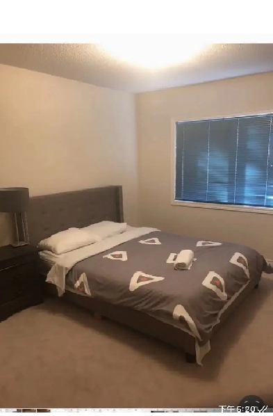 upstairs master bedroom for rent Image# 4