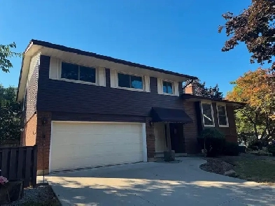 Beautiful 4 Bedroom Main/Upper Unit Room Rentals In Kitchener! Image# 16