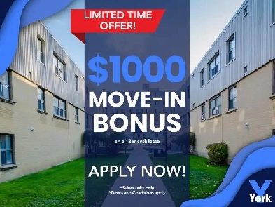 One Bedroom Apartment- Old South | Vintage and Original Image# 1