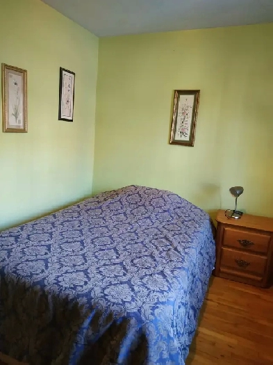 chambre à louer, INTERNET ÉLECTRICITÉ MEUBLÉ CHAUFFÉ Image# 4