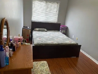 Room for rent at William and Fletcher Creek Image# 1