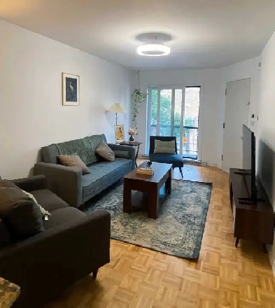 condo meublé et rénové 3 1/2 au coeur du village Image# 5