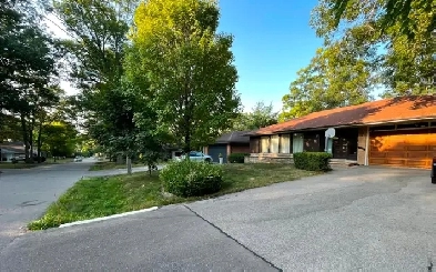 Renovated Large 1 Bedroom Basement Apartment Separate Entrance Image# 7