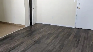2 Bedroom Apartment – Lease Takeover (Sept 1) – Renovated Image# 1