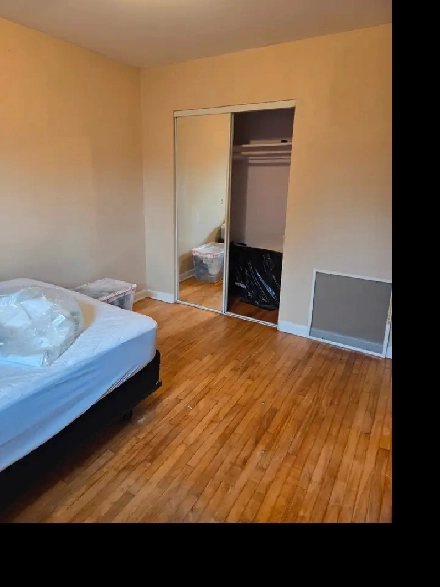 Room for $ 725: near Algonquin college and baseline transit stn Image# 1