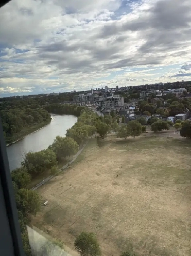One bedroom apartment - great location!! Image# 3