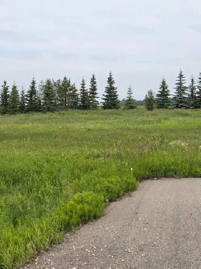 Beautiful half acre serviced lot in New Serepta Image# 3