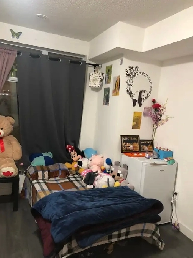 ROOM FOR RENT NEAR SHERIDAN COLLEGE & BRAMPTON GATEWAY TERMINAL Image# 1