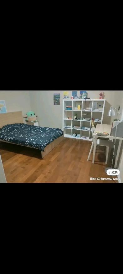 Richmond Hill room for rent Image# 1