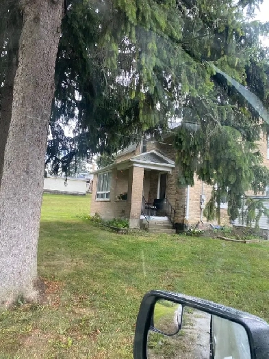 3 bedroom house for rent Image# 3