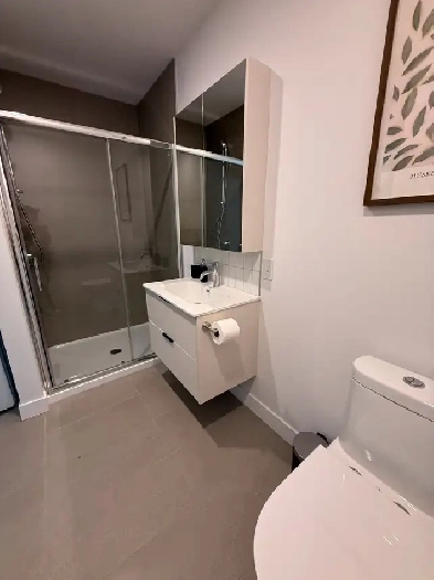 1 Bedroom Apartment for Rent Downtown Montreal