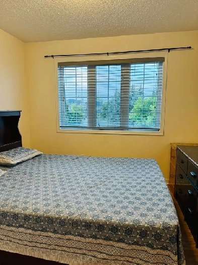 room for rent Image# 4