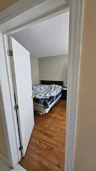 Room for Rent – 1974 Rosebella Ave (Arabic Tenant Only) Image# 3