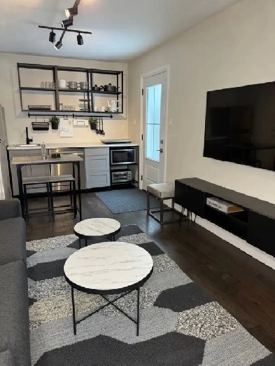 Furnished 1 Bedroom Unit Image# 5