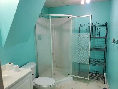 For Rent, Basement Suite at acreage 7km north of Prince Albert Image# 1