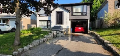 One bedroom available in 4 bedroom house in Kitchener Image# 1