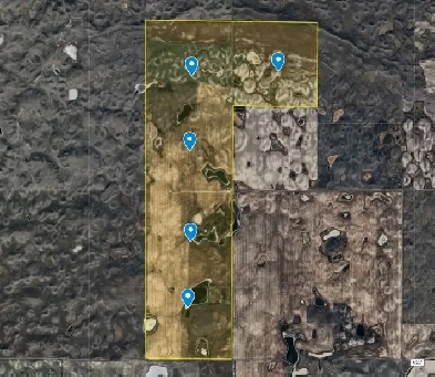 For Sale 5 Quarter Farmland In RM No 163 Image# 1