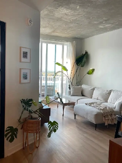 3 ½   Bureau À CANDIAC pet friendly tout inclus! Image# 5