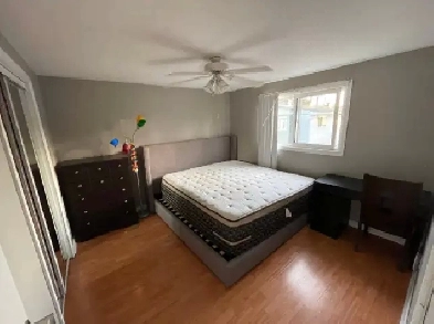 Furnished Room | September 1 Image# 1
