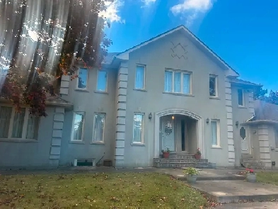 House for Rent Image# 7