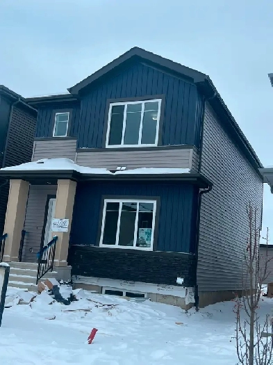 Cozy 2 bedroom basement for rent Image# 4