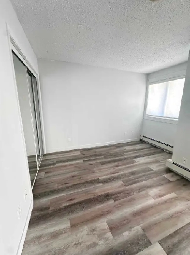 New Bachelor's suite for rent Image# 3