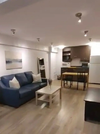 RENOVATED FULLY FURNISHED BACHELOR NEAR METRO JOLICOEUR Image# 2