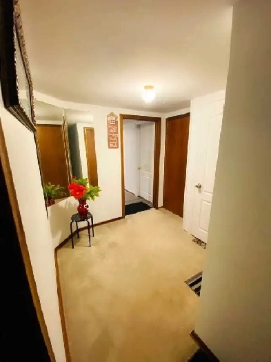 Cozy 2-Bedroom Walkout Basement Unit in Kitchener Image# 5
