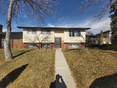 Big Basement for Rent in Rundle Image# 1