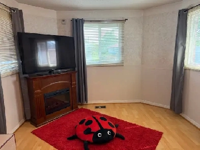 beautiful, bright master bedroom for male, Mississauga all now Image# 1