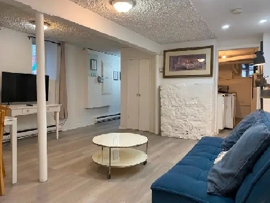 One-bedroom furnished apartment near McGill University Image# 2