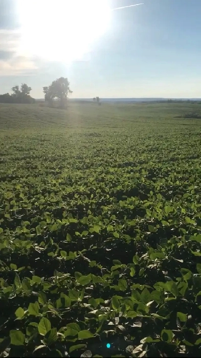 Wanted: Farmland to Rent