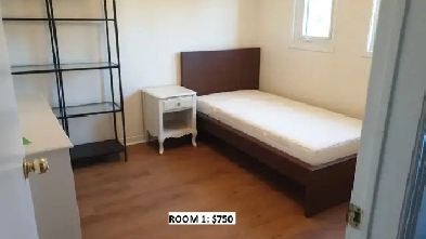 Rooms for Rent Image# 6