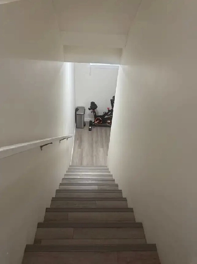 Basement for Rent in Cornerstone Area, Calgary Image# 1