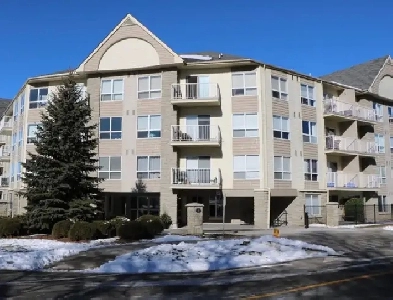 Modern 1-Bedroom Apartment – Downtown Galt/Cambridge Image# 9