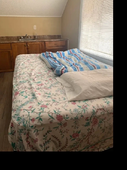 A room for rent Image# 1