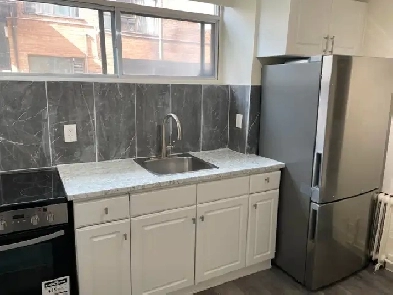 SUMMER INCENTIVE - Newly Renovated 1bdrm Apartment Image# 3