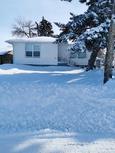 House for rent Image# 3