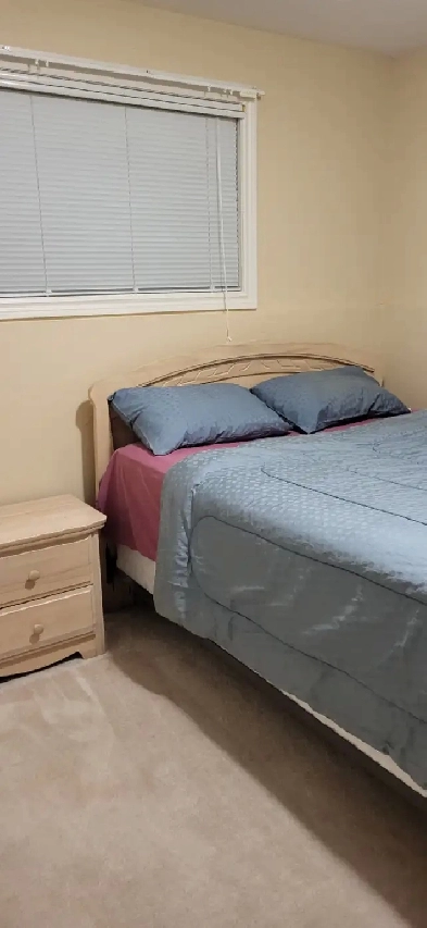 Room for Rent in Port Elgin Image# 1