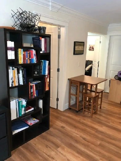 Junior 2 bed OR 1 bed   1 den BASEMENT SUITE/HASTINGS SUNRISE Image# 1