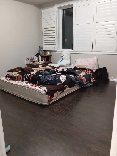 Sharing room in Scarborough 450$ Image# 1