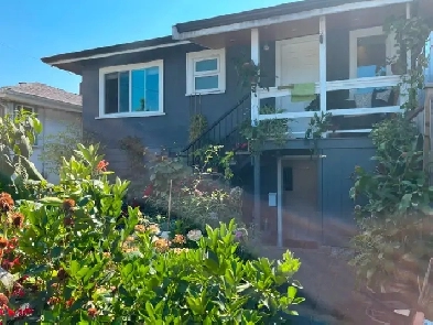 Beautifully renovated basement suite Image# 1