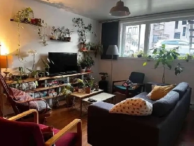 2 room 700&725& starting september Image# 4