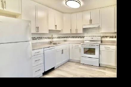 Modern Bright Newly Renovated 2 Bedroom Apt - SEPT  1/2  RENT!! Image# 8