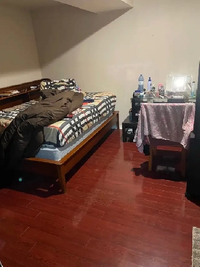 Beautiful 1 Large Bedroom Basement Apartment Image# 4