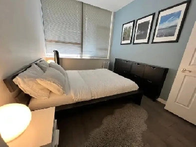 Downtown Luxury  Furnished 1 BDR w/parking City Views All includ Image# 1