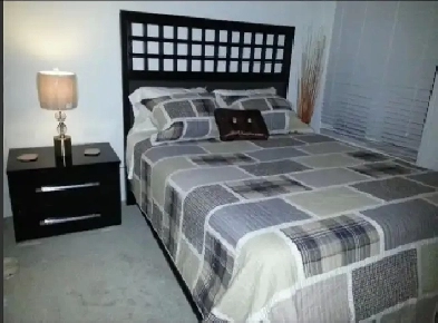 One private furnished luxury bedroom for $60 daily rate rental. Image# 1