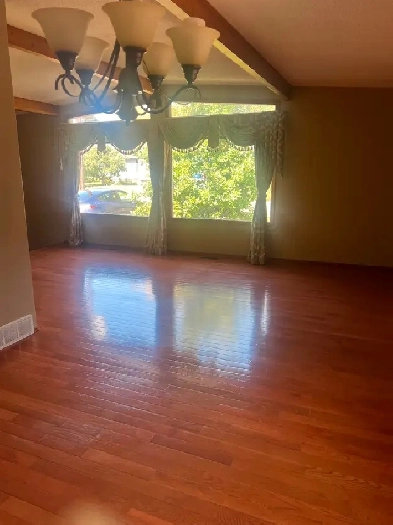 A beautiful main floor of a bungalow in Pleasantview for rent Image# 4
